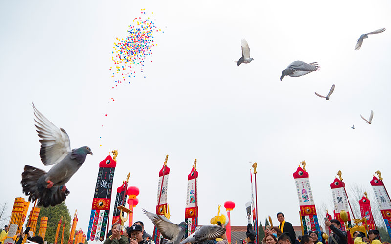 放飞气球、和平鸽